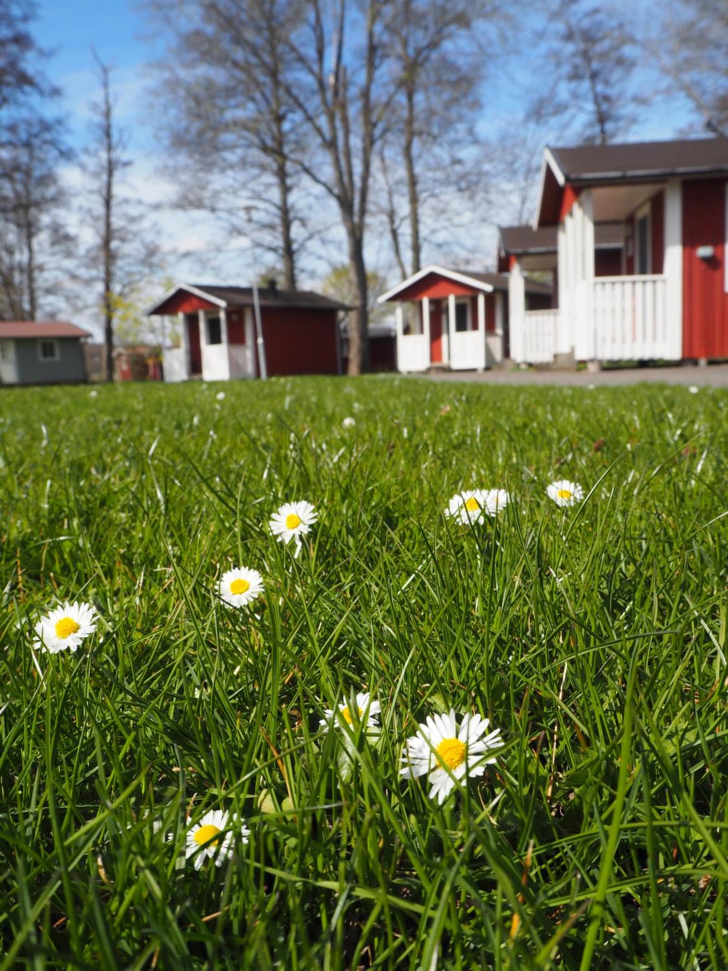 Skara Stads-Camping & Stugby Exteriér fotografie